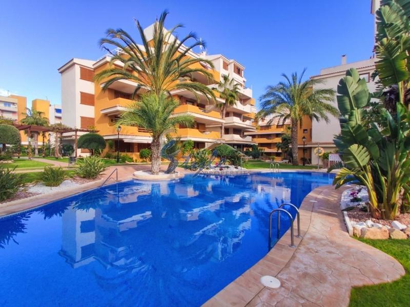 Punta Prima Nice Apartment With Sea Views ตอร์เรเวียคา ภายนอก รูปภาพ