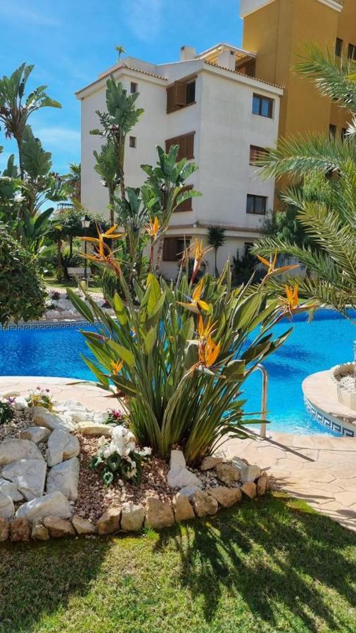 Punta Prima Nice Apartment With Sea Views ตอร์เรเวียคา ภายนอก รูปภาพ